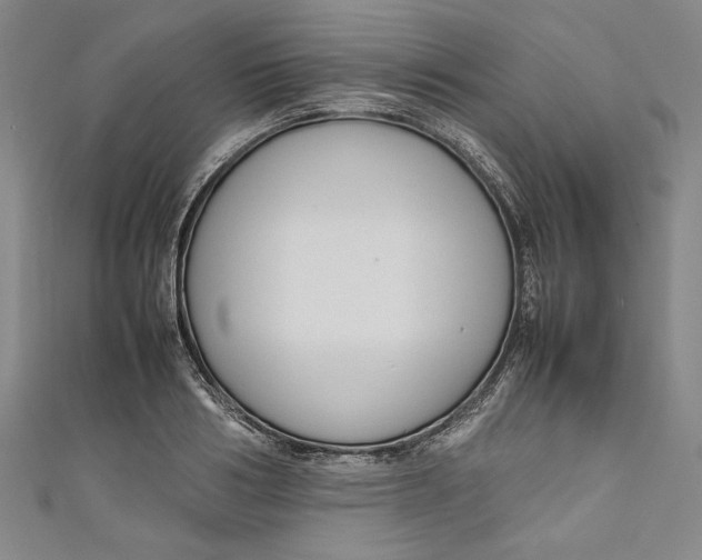 X0000111190986200907221105