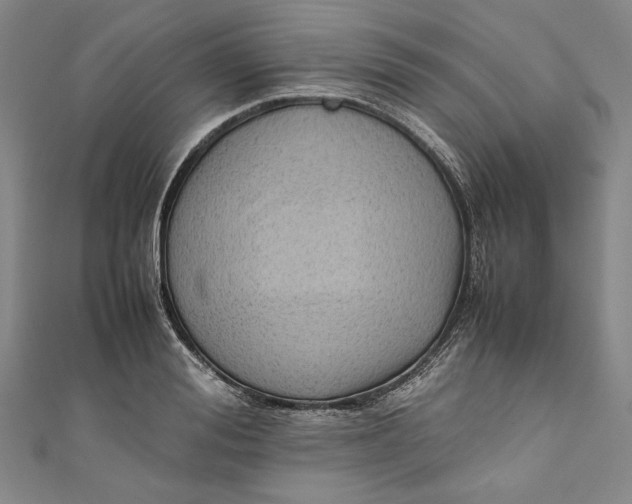 X0000111190988200907221105