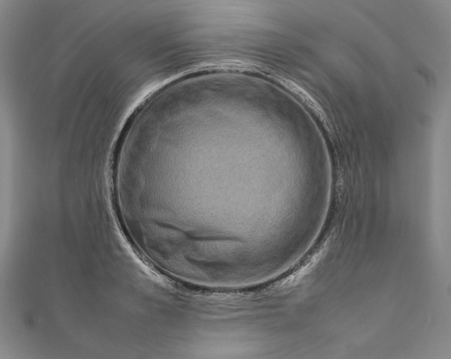 X0000111190989200907221105