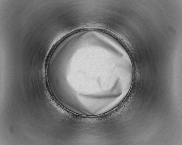 X0000111190990200907221105