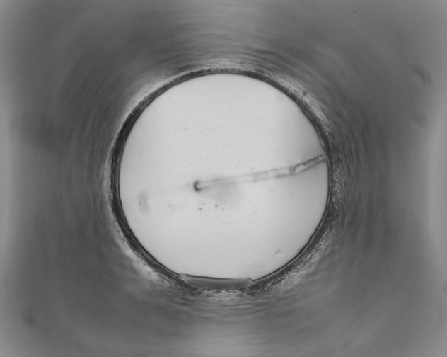 X0000111190991200907221105