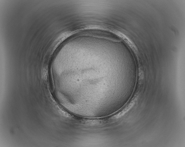 X0000111190993200907221105