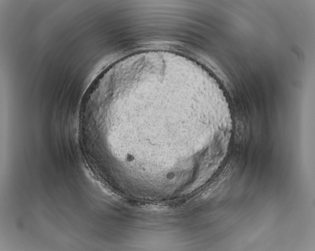 X0000111190994200907221105