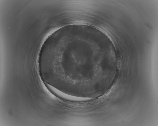 X0000111190995200907221105