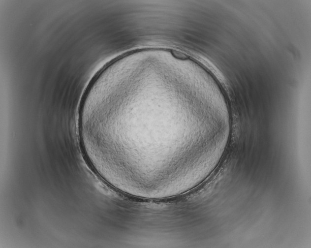 X0000111190996200907221105