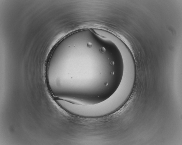 X0000111190997200907221105