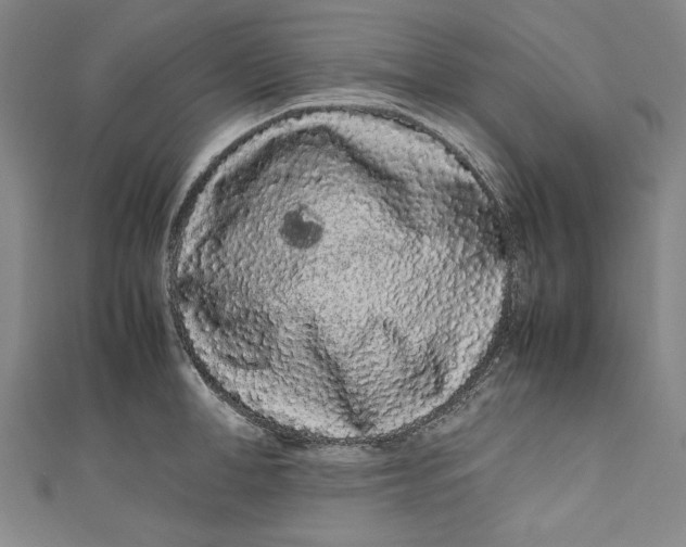 X0000111190998200907221105