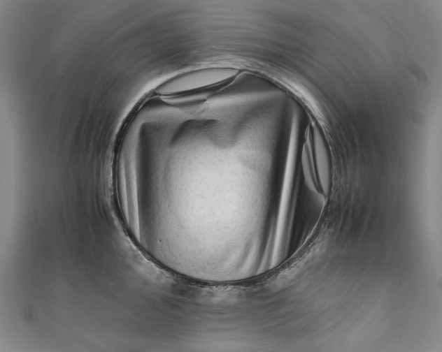 X0000111191000200907221105