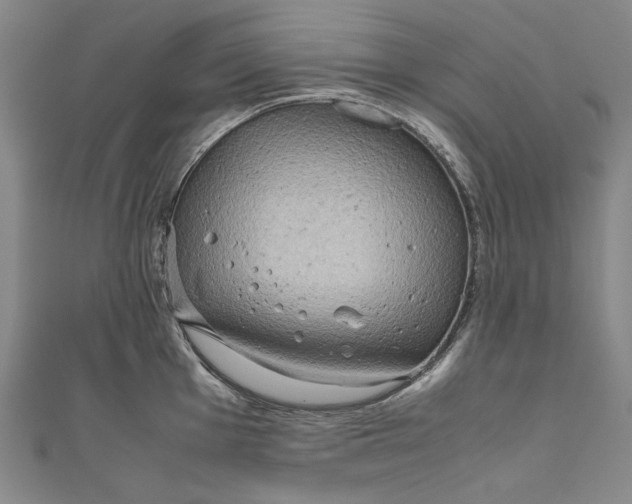 X0000111191001200907221105