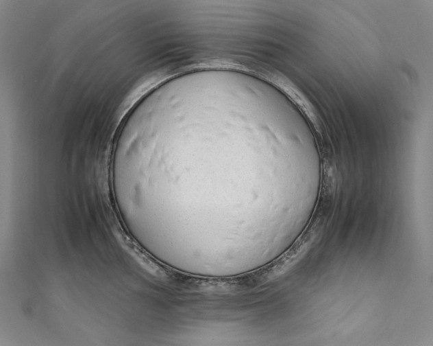 X0000111191002200907221105