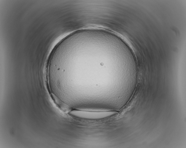 X0000111191003200907221105