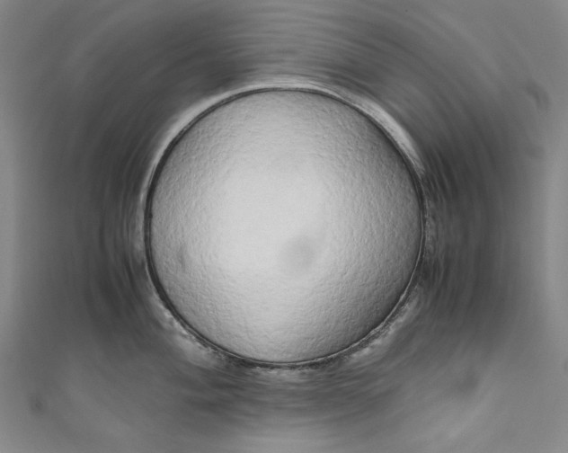 X0000111191004200907221105