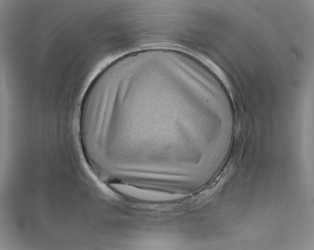 X0000111191005200907221105