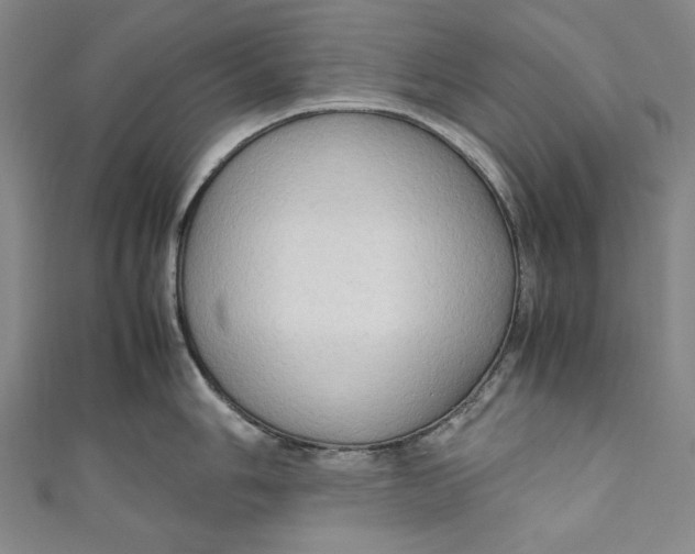 X0000111191006200907221105