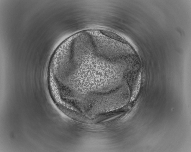 X0000111191007200907221105