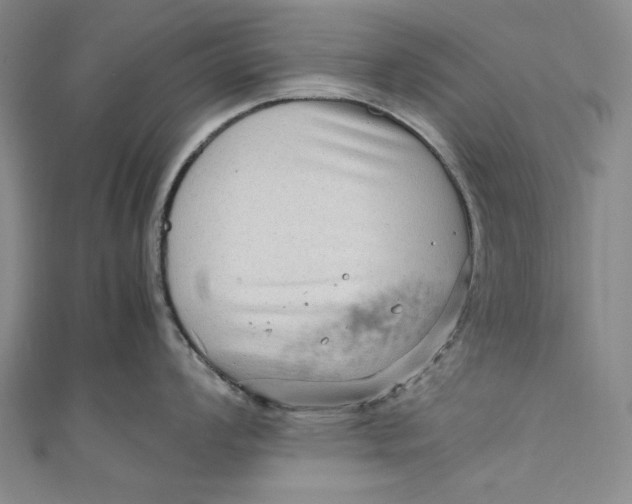 X0000111191008200907221105