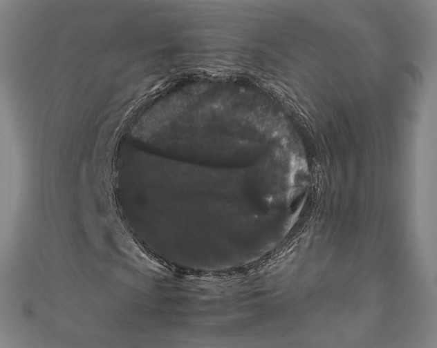 X0000111191009200907221104