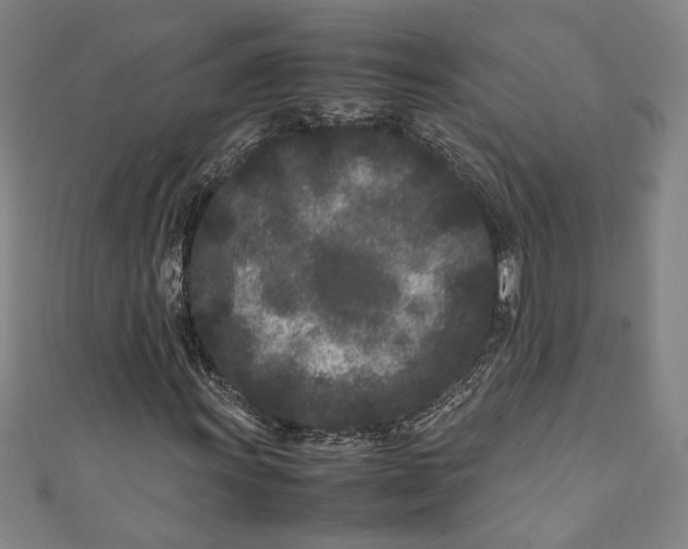 X0000111191011200907221104