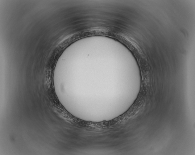 X0000111191015200907221105