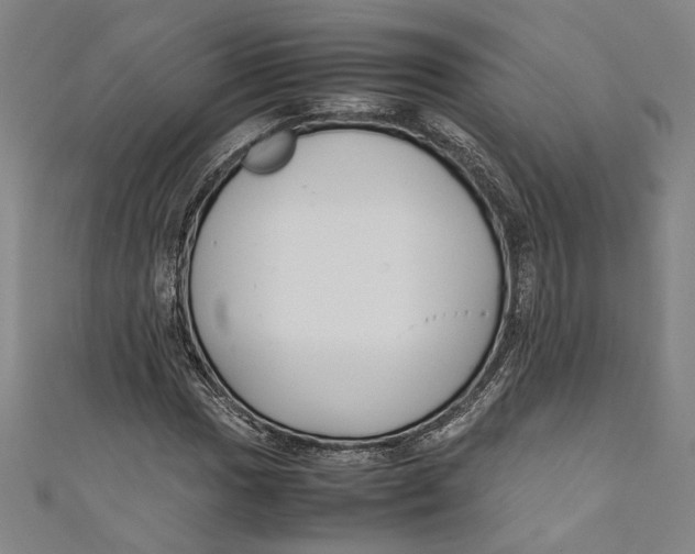 X0000111191017200907221105