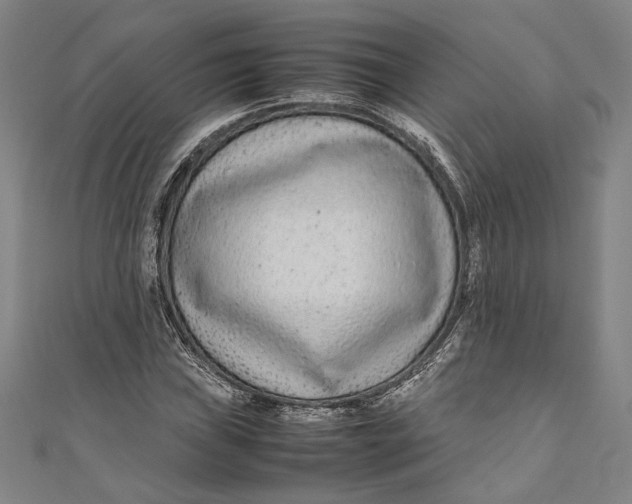 X0000111191019200907221105