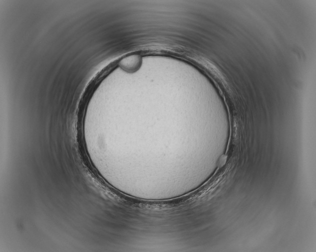 X0000111191020200907221105