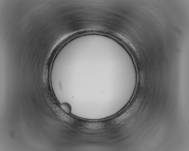 X0000111191021200907221105