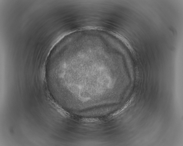 X0000111191023200907221105