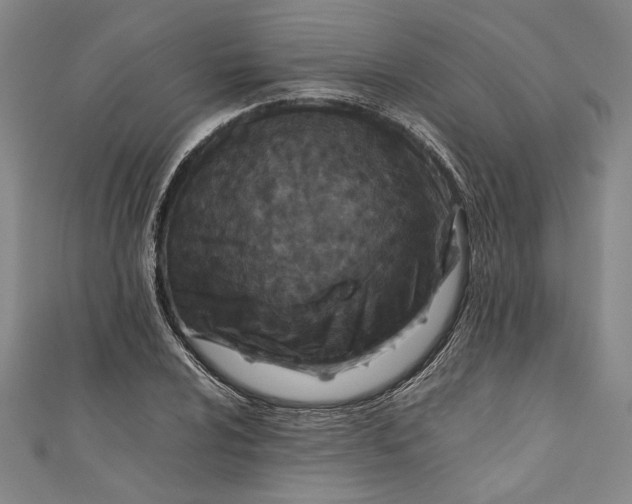 X0000111191024200907221105