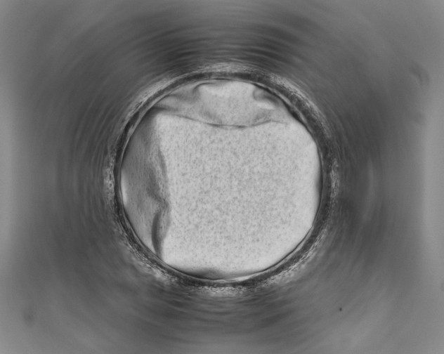 X0000111191025200907221105