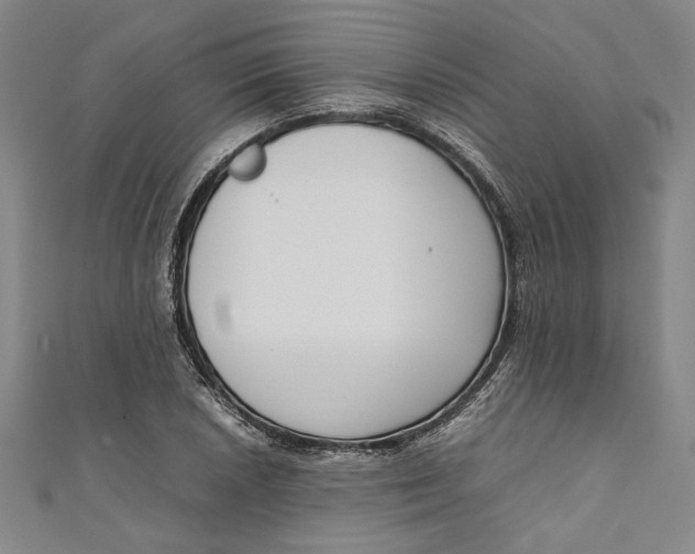 X0000111191026200907221105