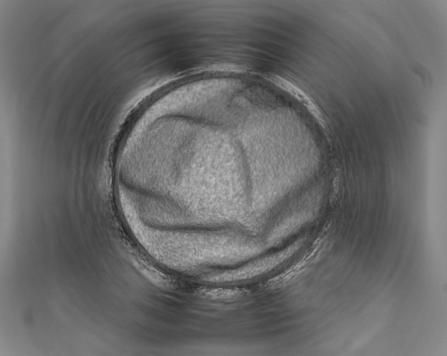 X0000111191027200907221105