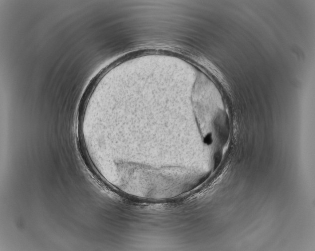 X0000111191028200907221105