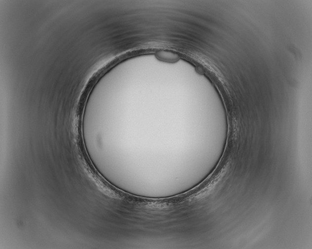 X0000111191029200907221105