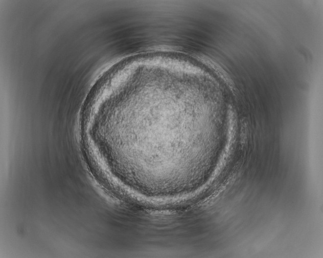 X0000111191031200907221105