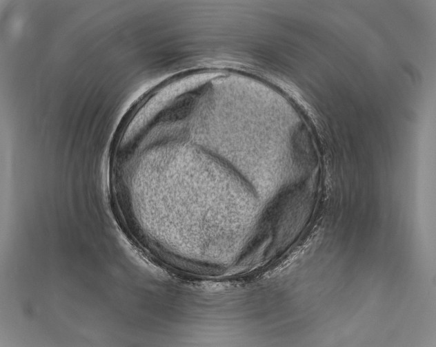 X0000111191032200907221105