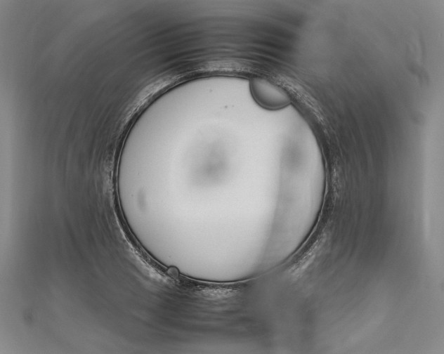 X0000111191033200907221105