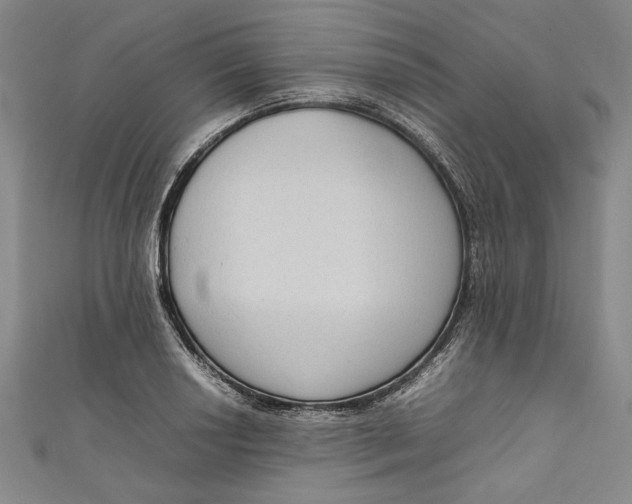 X0000111191034200907221105