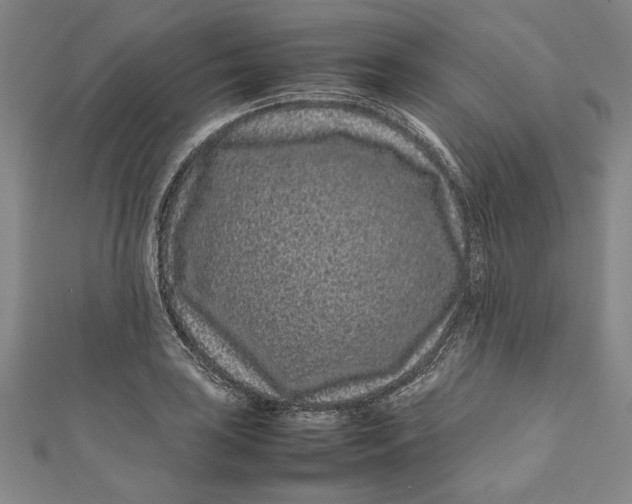 X0000111191035200907221105