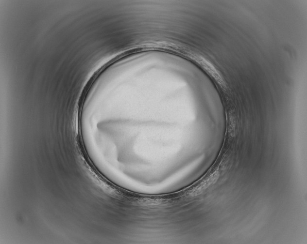 X0000111191036200907221105