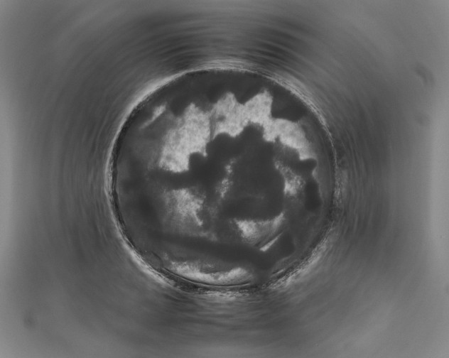 X0000111191037200907221105