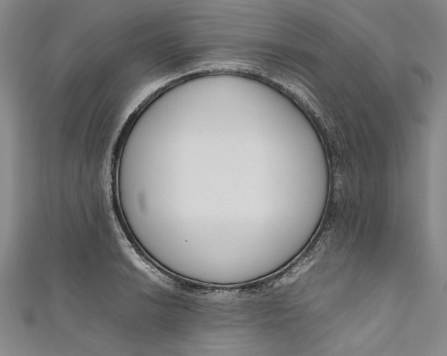 X0000111191038200907221105