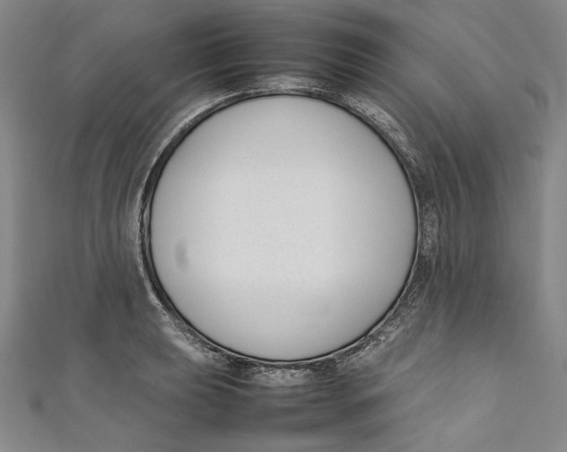 X0000111191039200907221105