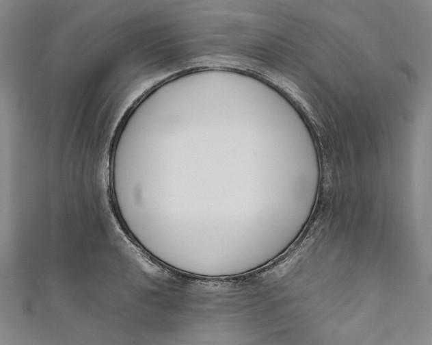 X0000111191040200907221105