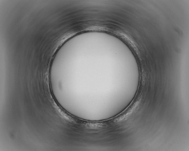 X0000111191041200907221105