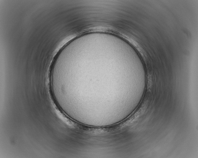 X0000111191042200907221105