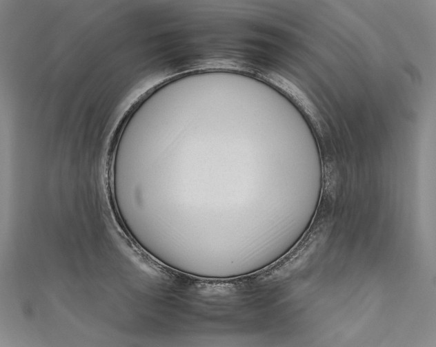 X0000111191043200907221105