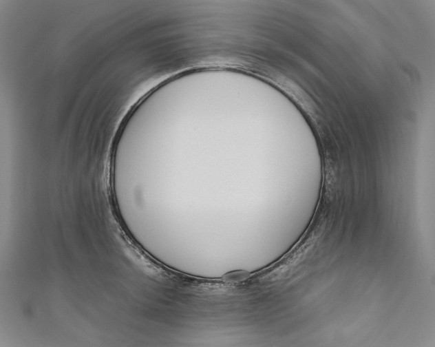 X0000111191044200907221105