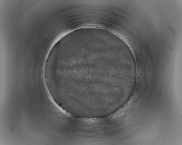 X0000111191045200907221105