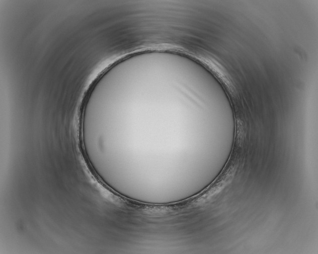 X0000111191046200907221105